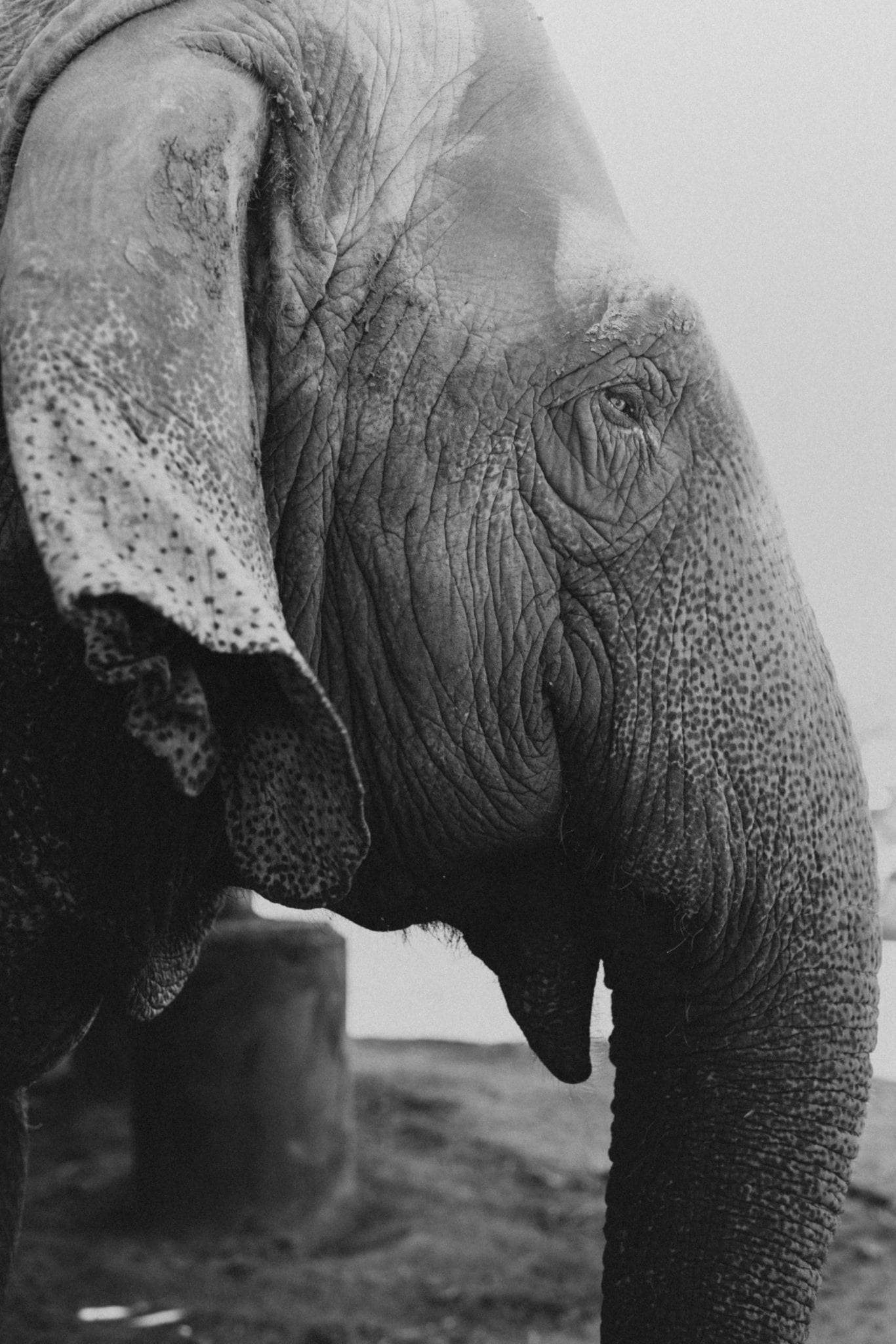 Two Weeks In Thailand Kaylafisherphotography
